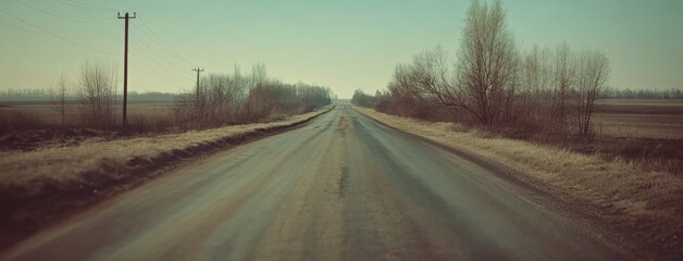 Poster - Beautiful nature with flowering willow branches and a forest road stretching against a blue sky dotted with clouds, captured in soft focus, an ultra wide format