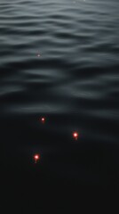 Poster - The water is dark and the lights are reflecting off of it