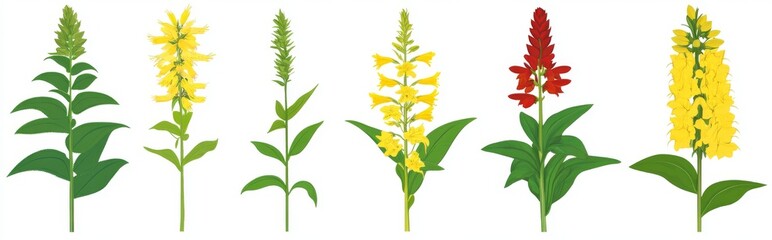Flower collection featuring modern floral design elements