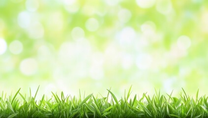 Wall Mural - Outdoors, a green lawn with fresh grass serves as a nature-inspired spring background texture, featuring a blurred backdrop with additional space. The scene includes the landscaping of a parking