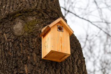 cute handmade wooden bird house with painted bird hanging on tree in park