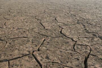 dried cracked earth on field