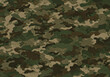 © ProArt Studios - Detailed military camouflage fabric texture, perfect for backgrounds in army-inspired designs or outdoor projects