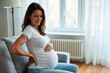 © redtiger9 - Pregnant Woman Sitting on Sofa in Modern Living Room, Expressing Discomfort with Back Pain