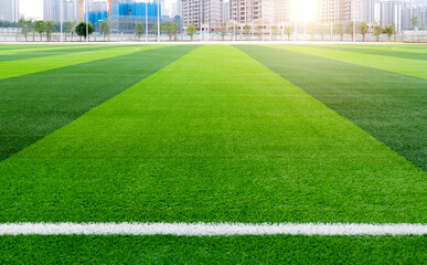 Canvas Print - Green grass of the soccer field