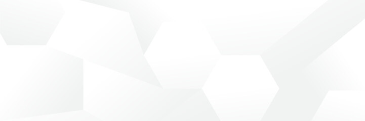 Wall Mural - abstract white geometric banner design background.