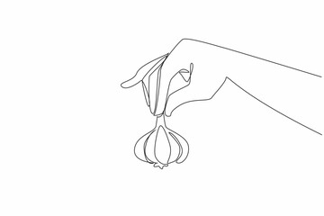 Poster - Single one line drawing hand holding the tip of garlic. Explaining the many benefits of garlic for the body. Controlling cholesterol. National Garlic Day. Continuous line design graphic illustration