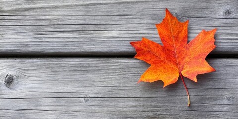 Canvas Print - Vibrant orange maple leaf on weathered gray wooden surface creating a cheerful autumn mood with ample copy space on the left side of the image