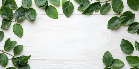 Sticker - Green leaves arranged in a circular layout on a white wooden background creating ample negative space for text in a natural setting