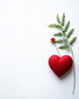 © Photo Graphic Stock - Heart and fern leaf arrangement with red rose on white background