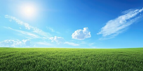 Vast green grass field under a clear bright blue sky with fluffy white clouds illuminated by sunlight creating a serene daytime landscape