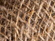 © Andrey - A close up of a fuzzy brown object with a lot of hair