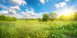 © Laura Pashkevich - Beautiful spring summer natural landscape with a meadow of grass, trees and blue sky with clouds on a bright sunny day.
