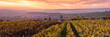 Autumn in the vineyards of Ville Dommange, Champagne, France