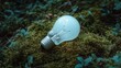 © somsri - A frosted light bulb resting on a bed of moss in a natural forest setting