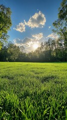 Wall Mural - Serenity of a Sunset Over a Lush Green Field Surrounded by Trees