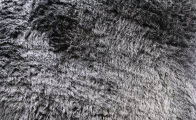 Wall Mural - Grey gray fluffy fur plush fabric abstract textured background