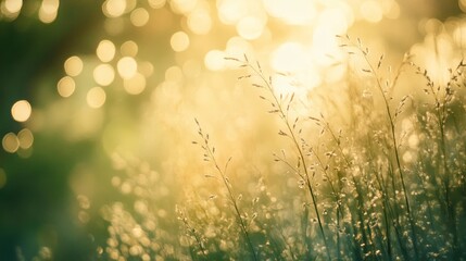 Aufkleber - Branches resting on the grass showcase the beauty of the grass illuminated by evening sunlight, creating a serene atmosphere with a beautifully blurred background.