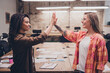 © deagreez - Portrait of two confident successful business lady give high five accomplishment modern business center office indoors