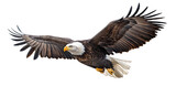 Bald eagle in mid-flight, isolated on transparent cutout background