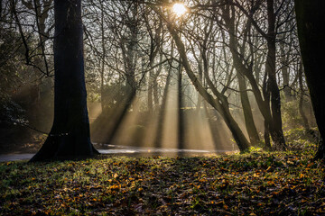 Wall Mural - Hesketh Park, Southport, Lancashire, UK.