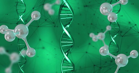 Wall Mural - image of dna strand spinning and data with connections on green background