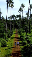 Wall Mural - Stroll along a peaceful path in Koh Mak, Thailand, surrounded by tall palm trees and vibrant greenery. Experience the natural beauty and tranquility of this idyllic island paradise.