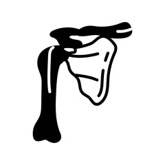 Wall Mural - Scapula Glyph Icon, Vector illustration