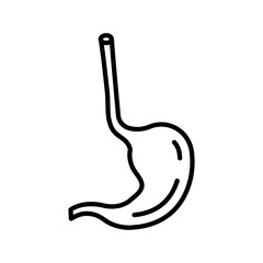 Wall Mural - Esophagus Outline Icon, Vector illustration