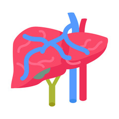 Wall Mural - portal vein flat icons, vector illustration