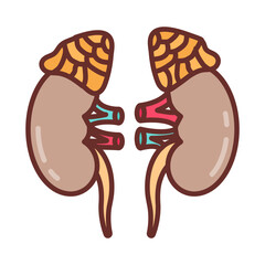 Wall Mural - Adrenal Gland Filled Icons , Vector illustration