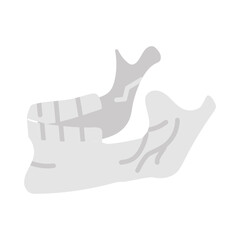 Wall Mural - jaw bone flat icons, vector illustration