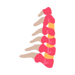 Wall Mural - neck bone flat icons, vector illustration