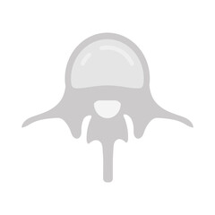 Wall Mural - lumbar vertebra flat icons, vector illustration