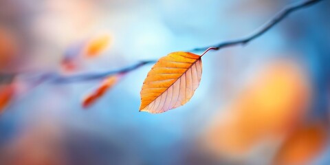 Fototapete - Blurred image showcasing stunning leaves, emphasizing the beauty of leaves in nature. This defocused photo captures the essence of leaves beautifully, creating a serene and tranquil atmosphere.