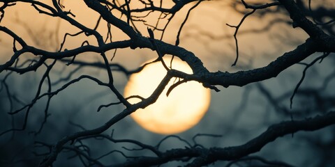 Aufkleber - Black dry tree branches silhouetted against a twilight sun background create a dramatic contrast. The black dry tree branches evoke a sense of mystery in the fading light of the evening.
