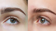 © Generative Stocks - A before-and-after transformation of a woman's eyebrows after microblading. stock image, hd quality,