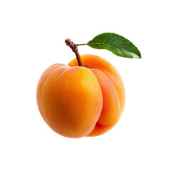 Wall Mural - Apricot Delight: A vibrant, sun-kissed apricot with a single green leaf,  perfectly ripe and ready to be savored.