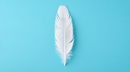 Wall Mural - Soft Floating Feather on Pastel Blue Background,3D