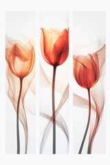 Wall Mural - Three Red Tulips