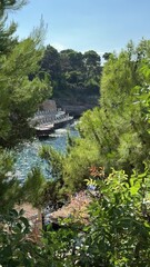 Wall Mural - Beach among pine trees on the Mediterranean coast in summer, vertical video.