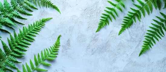 Poster - Green Fern Leaves on Light Textured Background with Copy Space for Text Placement