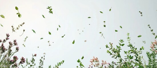 Poster - Falling leaves and wildflowers against a light background with copy space for text or graphics