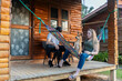 © Allison - Relaxing on the porch with dogs at a wooden cabin in nature