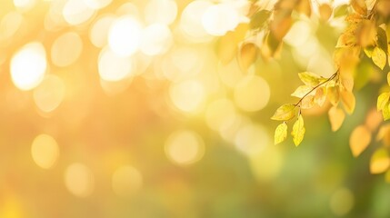 Aufkleber - Golden autumn leaves with soft bokeh background and natural light Copy Space