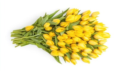 Aufkleber - Fresh yellow tulips bouquet with green leaves on white background and ample copy space for text or graphics