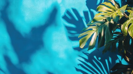 Aufkleber - Monstera leaf shadows on blue wall with copy space for text and design elements