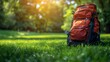 © Fatima - Beautiful view of garden and orange school bag in a grass