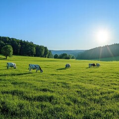 Aufkleber - Cows grazing peacefully in a lush green meadow during a sunny summer afternoon. Generative AI