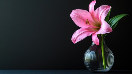 Canvas Print - Pink flower in glass vase